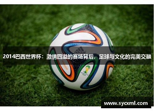 2014巴西世界杯:激情四溢的赛场背后,足球与文化的完美交融 2014巴西世界杯:激情四溢的赛场背后,足球与文化的完美交融