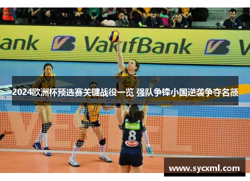 2024欧洲杯预选赛关键战役一览 强队争锋小国逆袭争夺名额 2024欧洲杯预选赛关键战役一览 强队争锋小国逆袭争夺名额