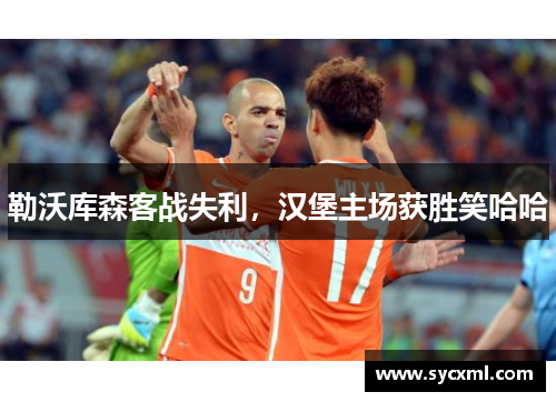 勒沃库森客战失利，汉堡主场获胜笑哈哈