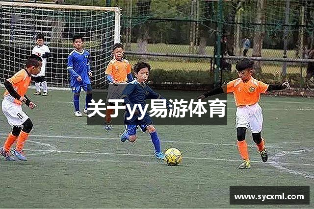 关于yy易游体育